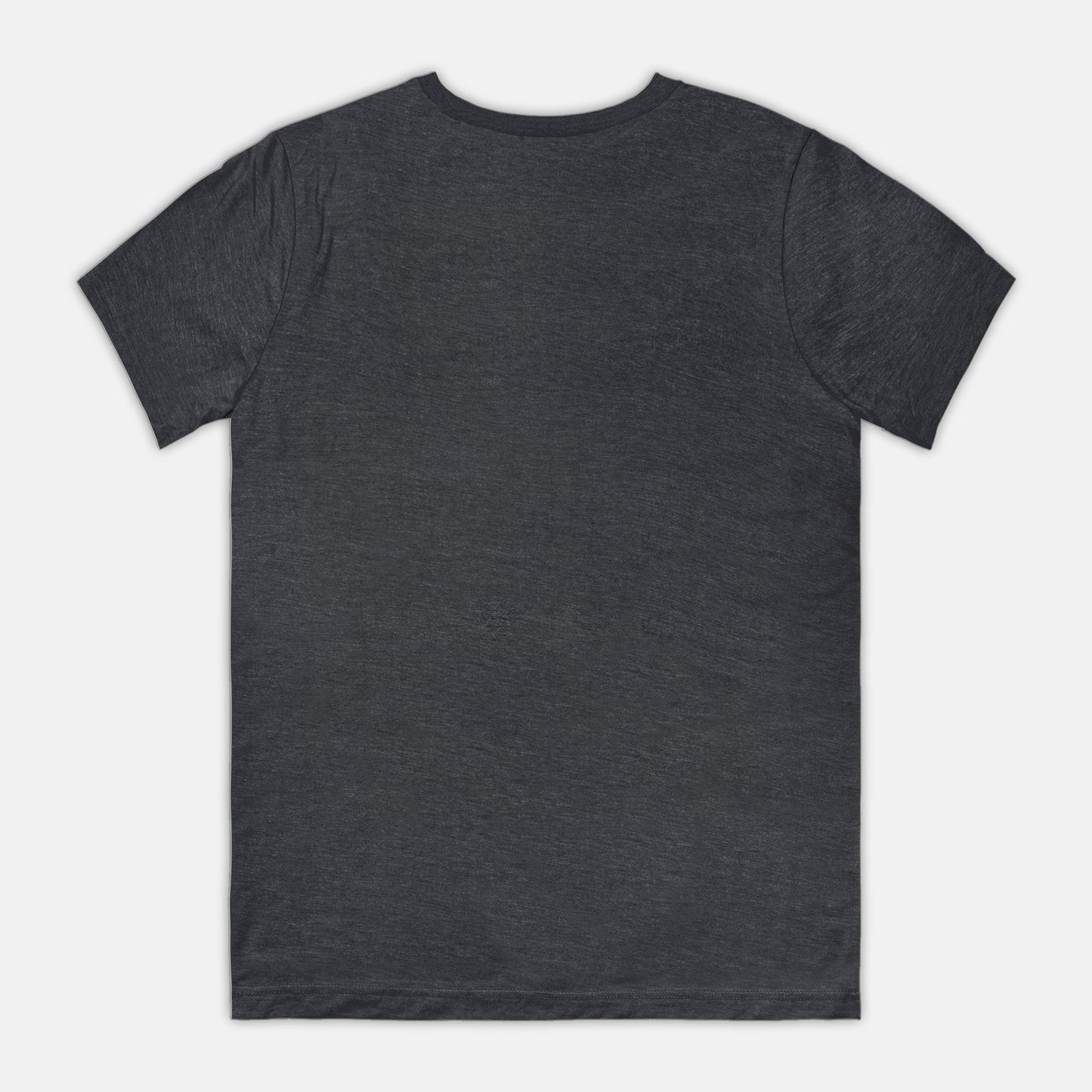 Why Old Lady Bella Canvas Unisex T-Shirt