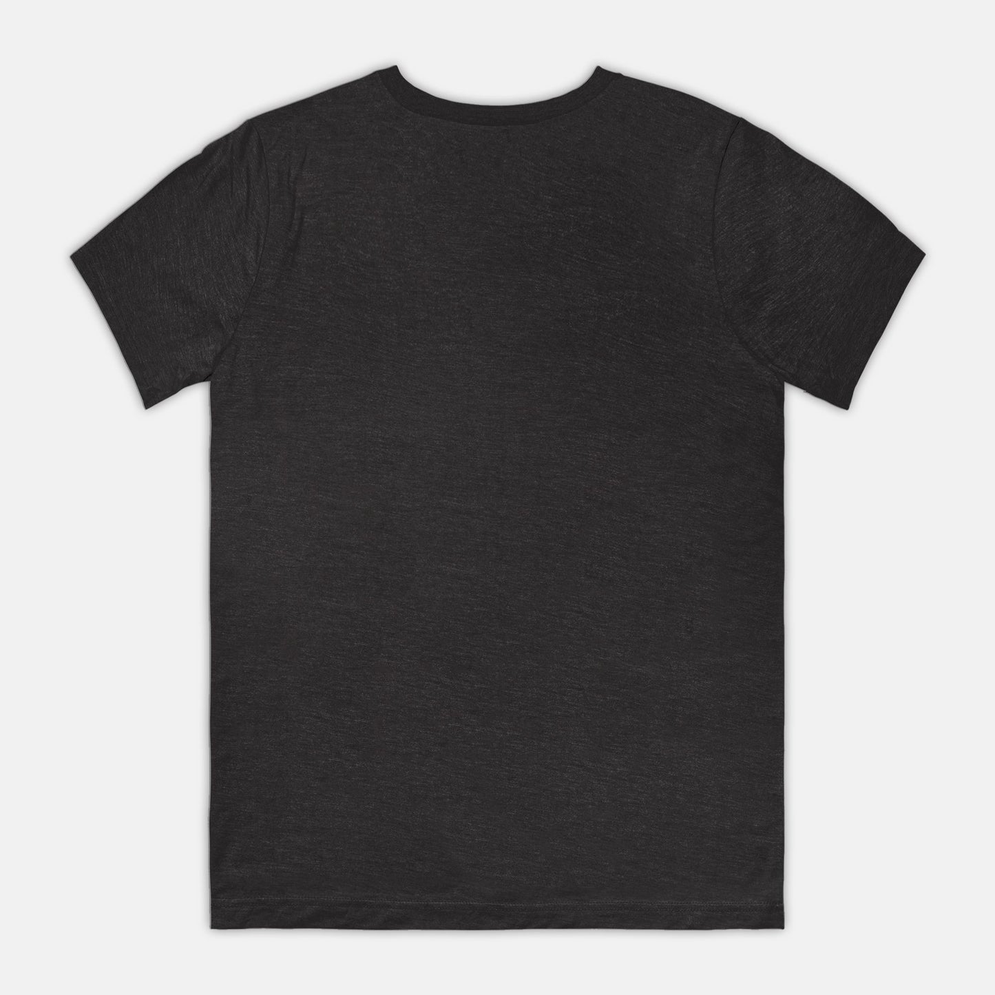 Why Old Lady Bella Canvas Unisex T-Shirt